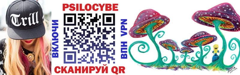 blacksprut вход  Богородицк  Псилоцибиновые грибы Cubensis 
