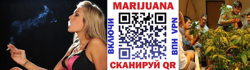 где можно купить   Богородицк  МАРИХУАНА сатива 